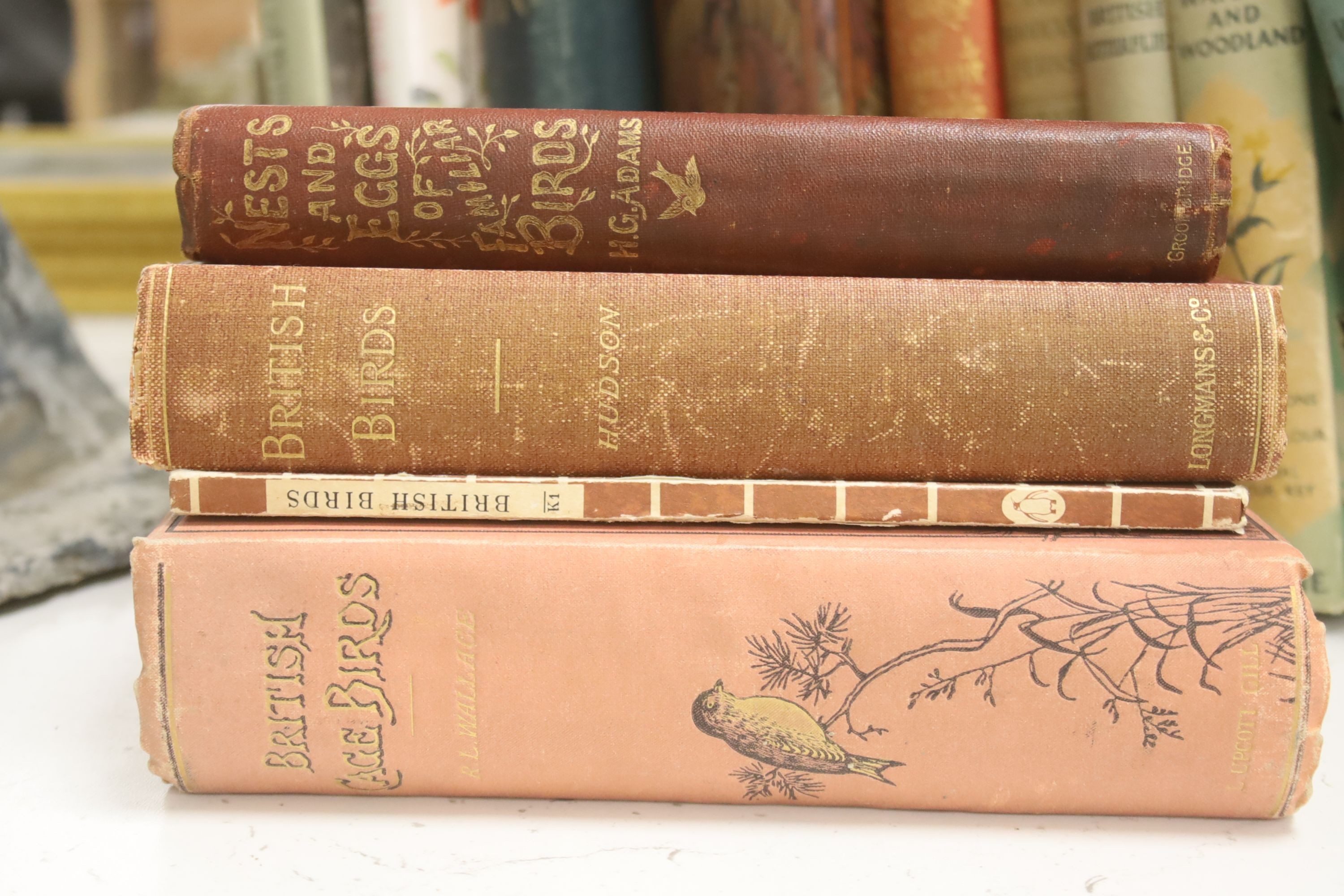 A collection of natural history books